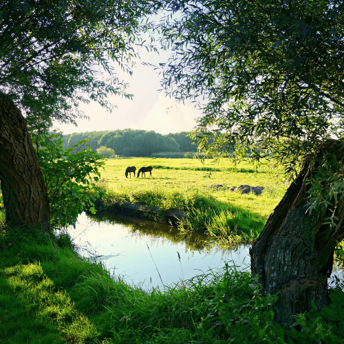 Holland